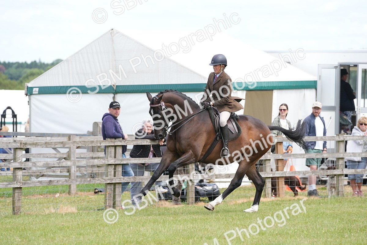SBM_16253 - Class 105-106 - RIHS Riding Horses