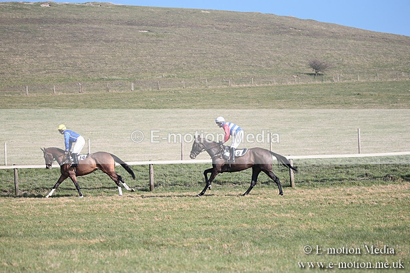 PtP 230219 136 - Vine & Craven Point-To-Point - Barbury 23/02/19