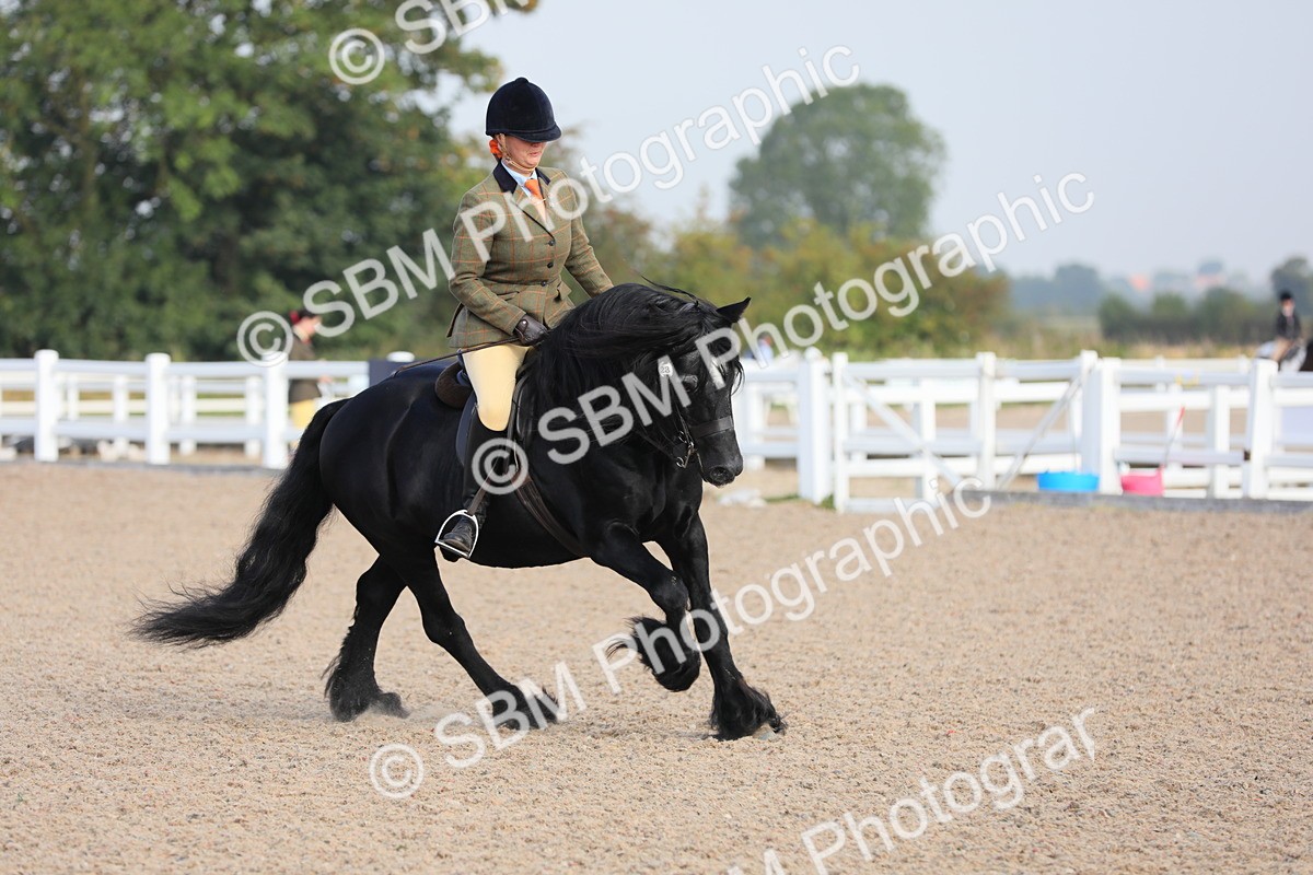 SBM_10122 - Class 302 Ridden M&M -Large Breeds