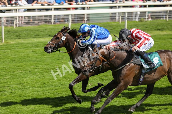 150723-Race 3-Pride of America-8821 - Race 3 3.10pm John Smith's Cup Handicap