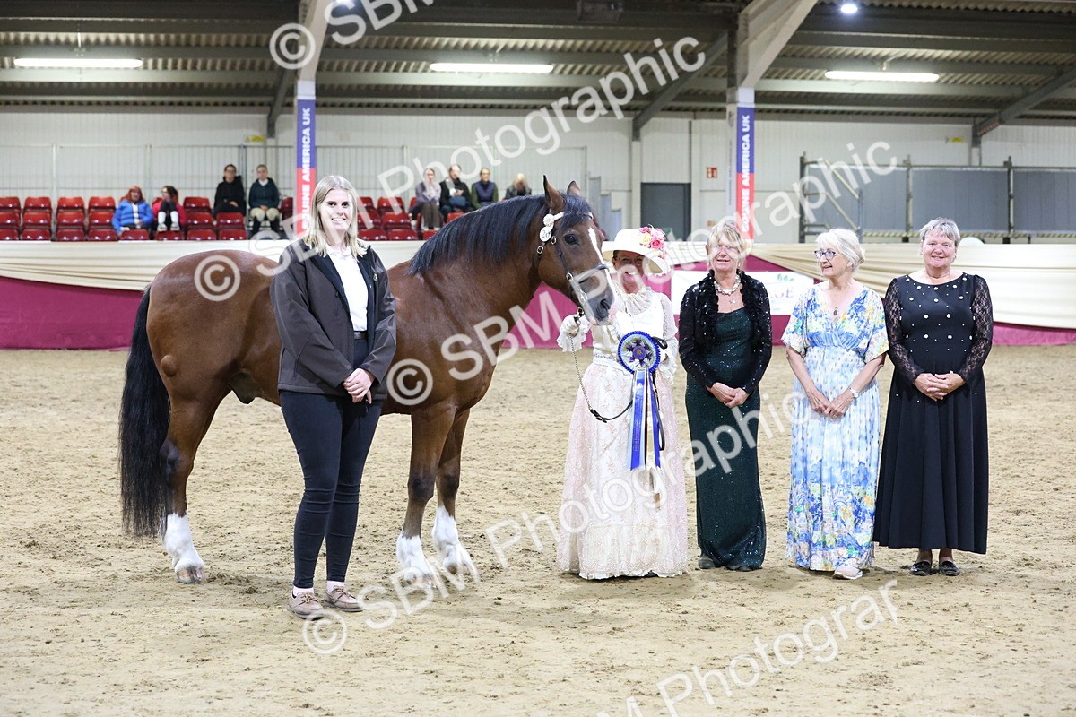 SBM_21497 - Class U - Costume Confour Champ