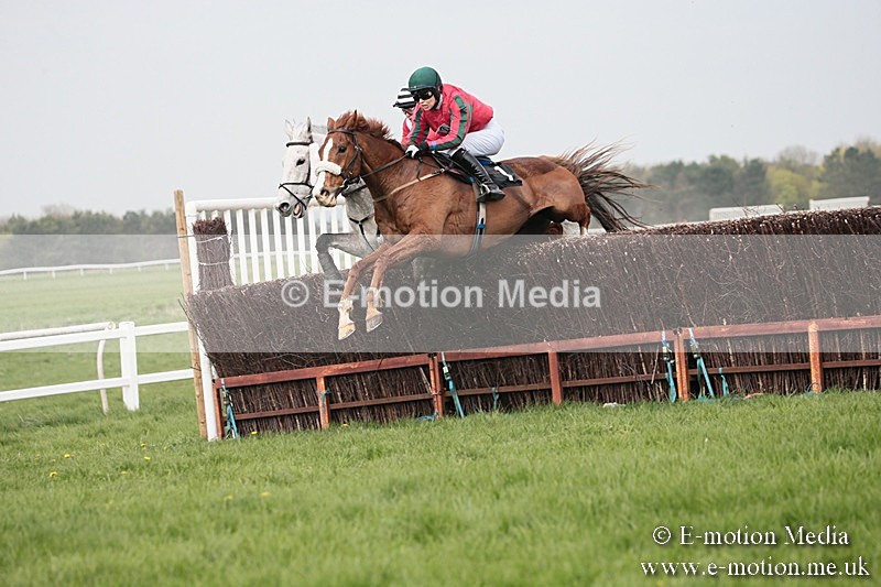 PtP 210418 282 - South & West Wilts Point-to-Point Larkhill 21/04/18
