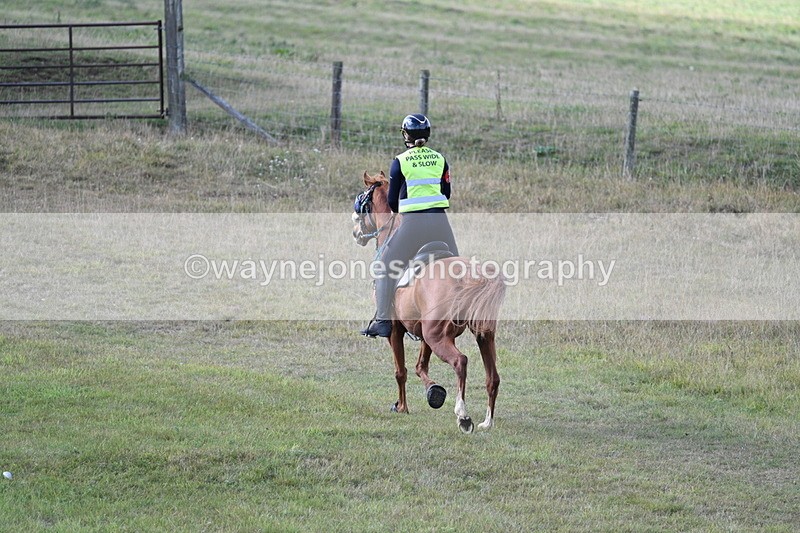 WJ7_3427 - Time 10:15 to 10:26