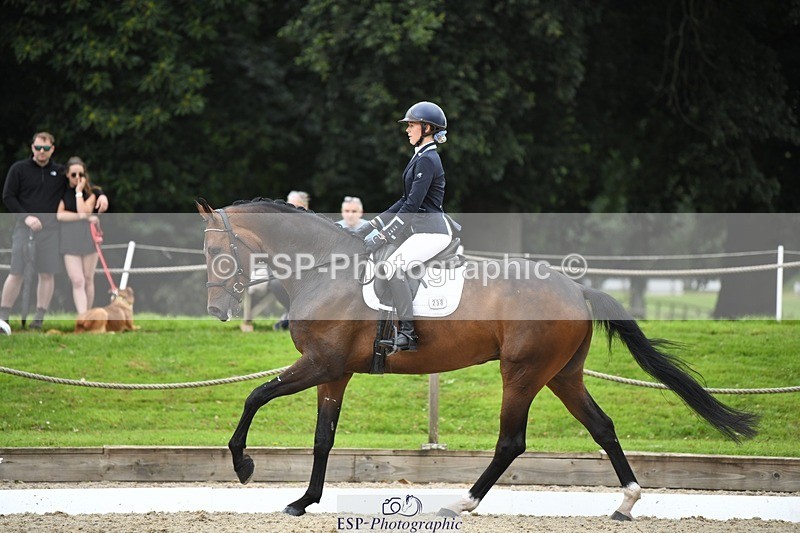 230812-124600-04215 - Cls 6 Novice Silver 12.10 to End