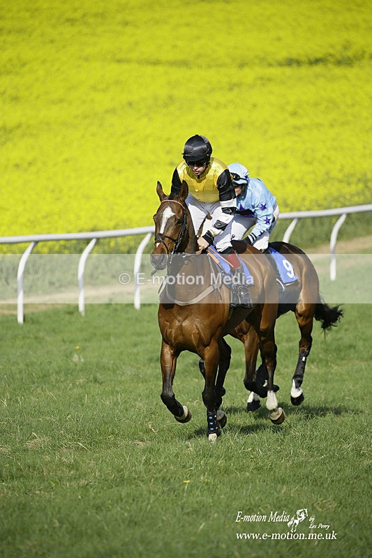 PtP 180422 338 - Old Berkshire PtP Lockinge 18/04/22