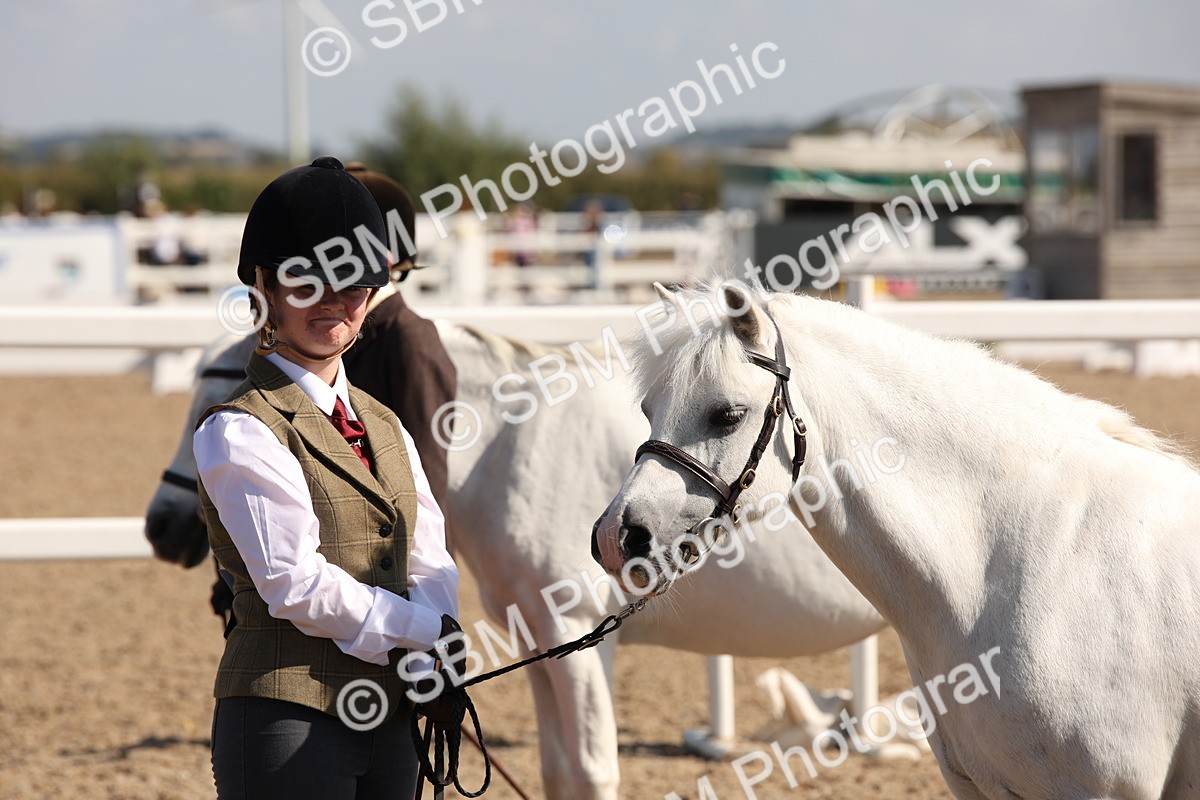 SBM_02772 - Class 16 IH M&M Wildcard