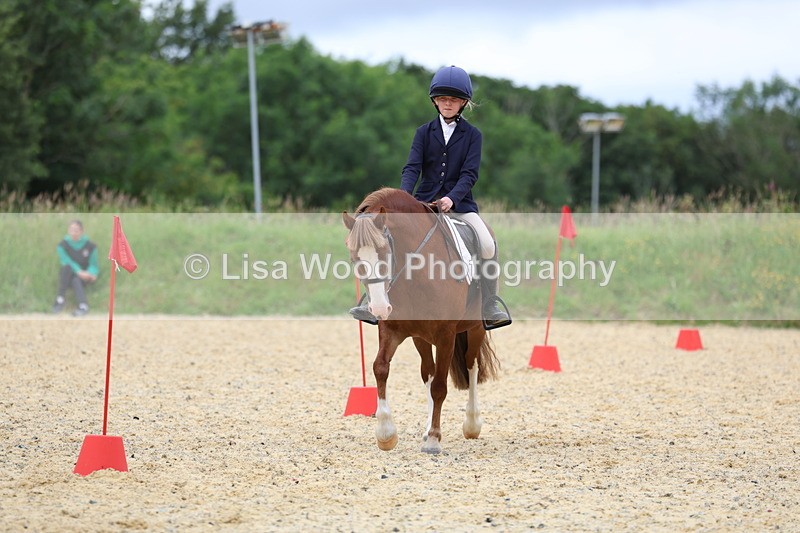 3E7A9656 - Walk trot run