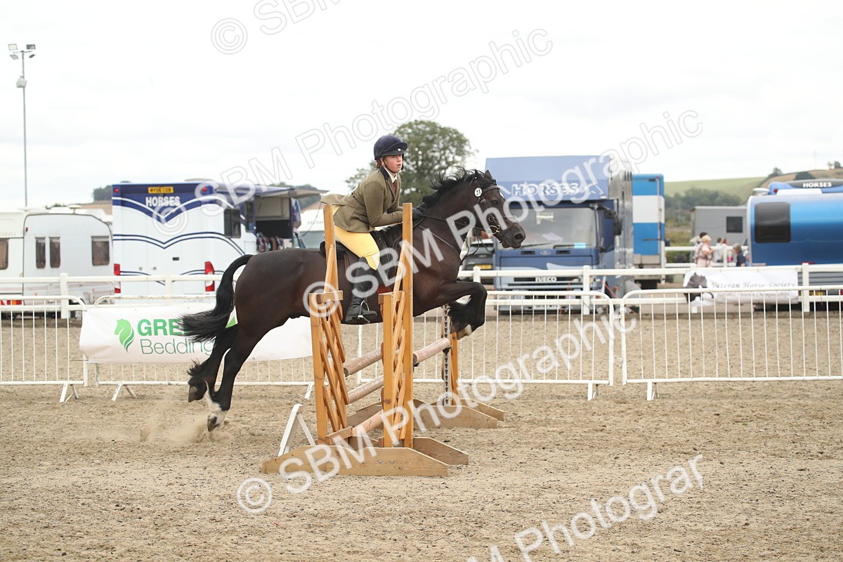 SBM_18362 - Class 509B - Working Veteran - 80cm (20+)