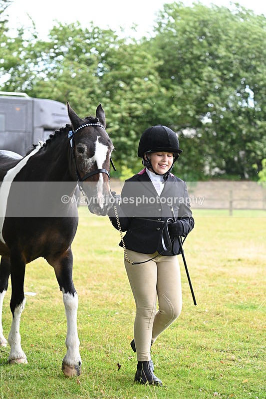 WJ7_5835 - Class 4 Prettiest Mare in Hand
