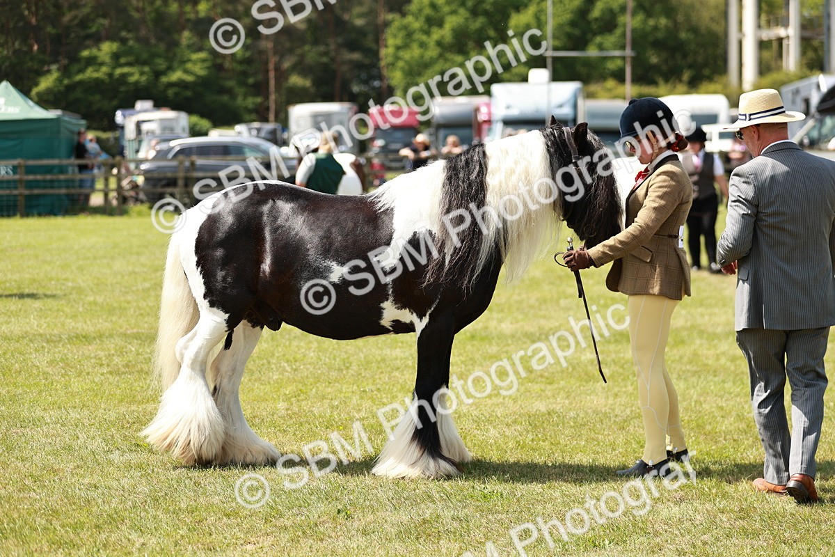 SBM_04212 - Class 39-40 - BSPA Coloured In Hand