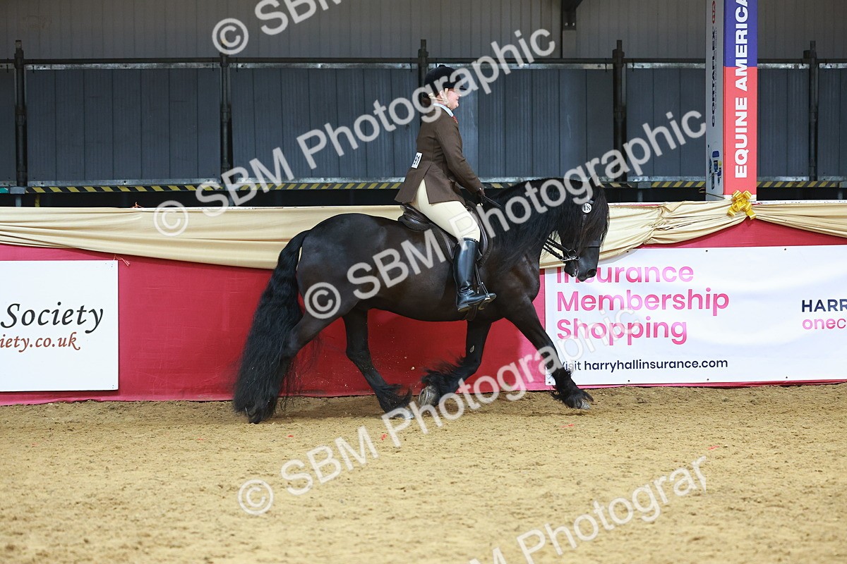 SBM_10512 - Class 103 - HOYS Veteran Qualifier - Ridden Pre Vet