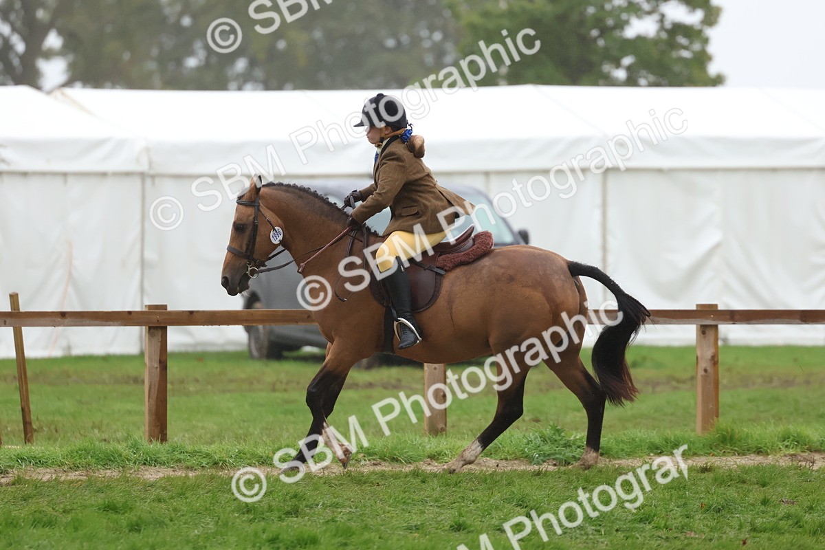 SBM_73038 - S63 Show Pony & Show Hunter Pony Ridden