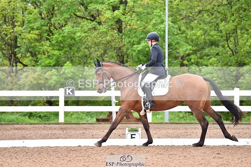 230511A-123836-00617 - BD Cls 8 Elementary 59