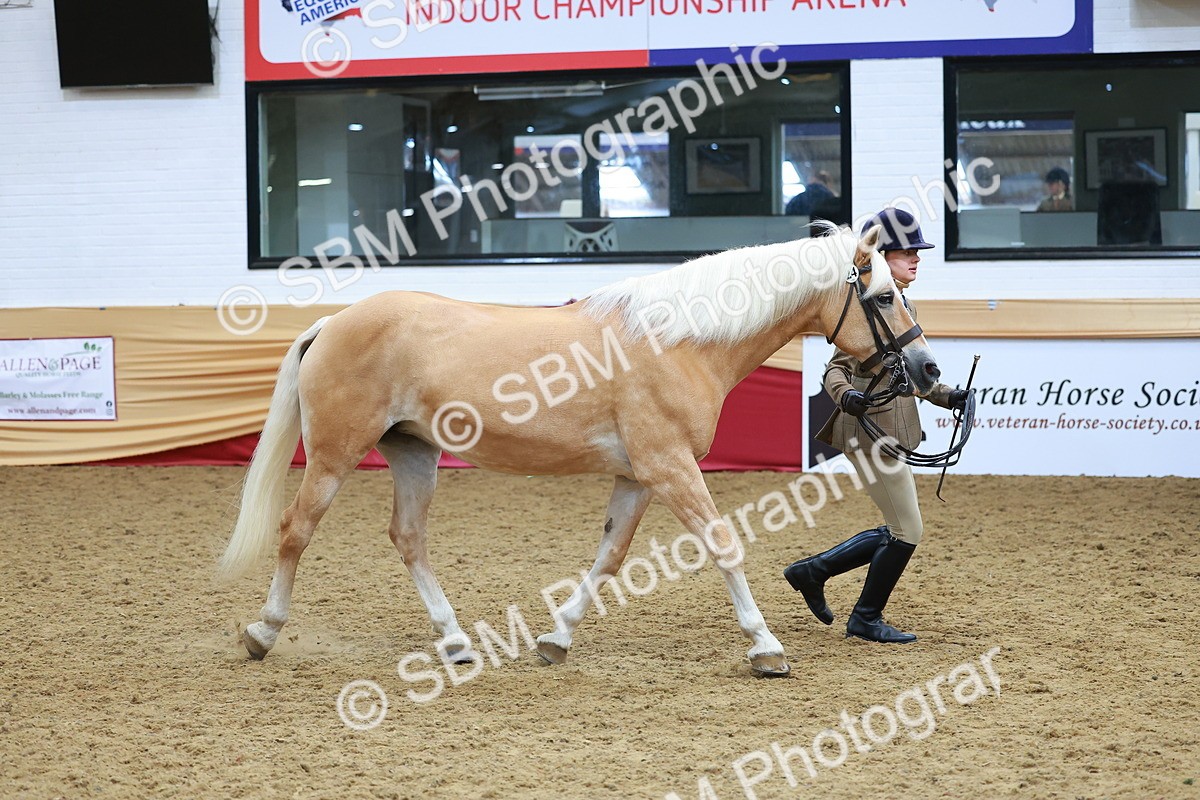 SBM_09818 - Class 102 - HOYS Veteran Qualifier - Ridden Veteran