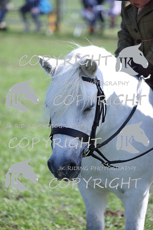 APP_3887 - Class 13 Lead rein