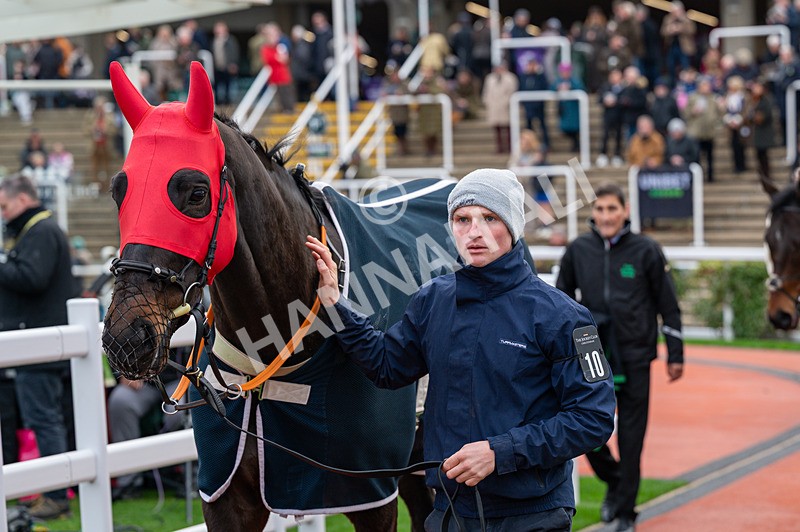 161125-Race 3-Ballybreeze-1394 - Race 3