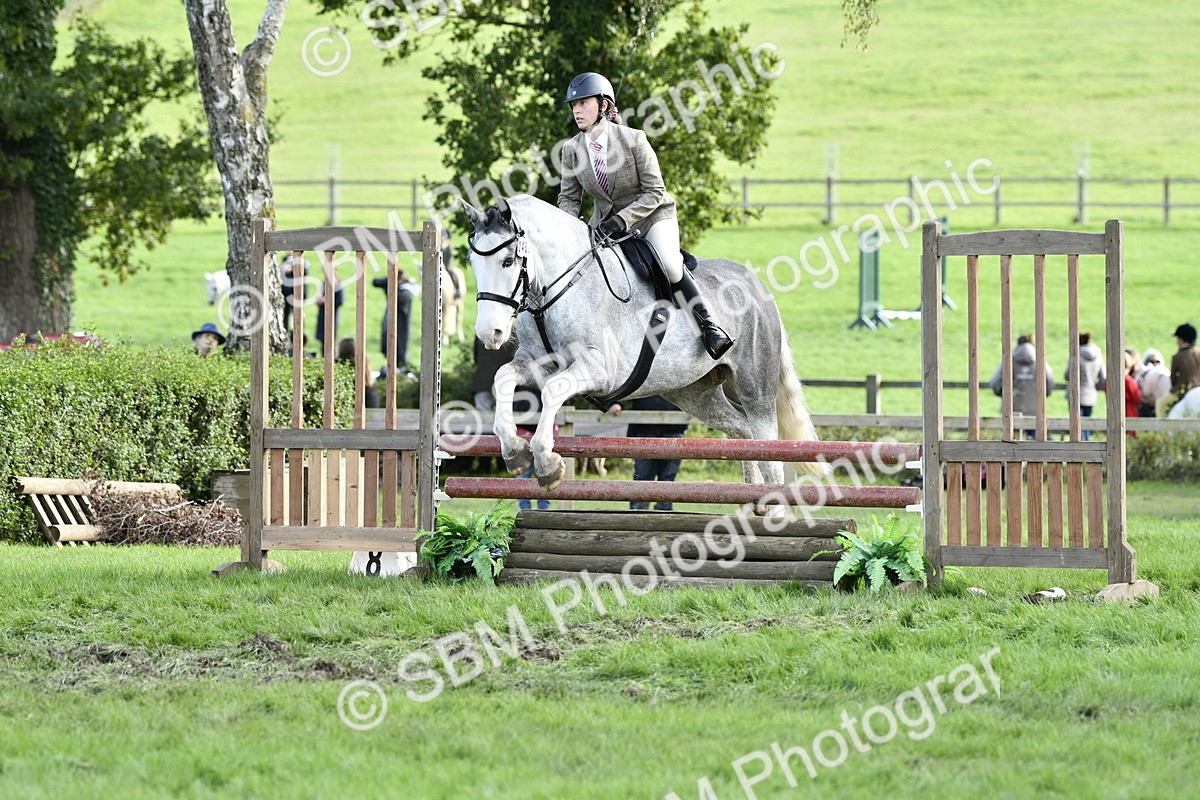 SBM_52199 - S35 - Working Hunter & Working Show Horse