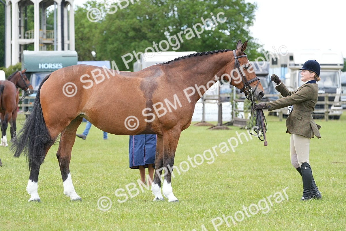 SBM_15044 - Class 100-102 - RIHS Working Hunter