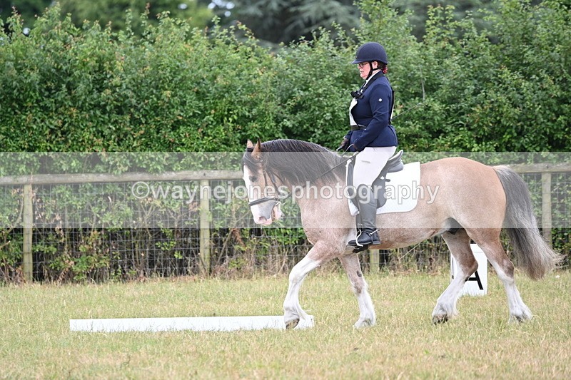 WJ6_3029 - Time 11:07 to 11:34