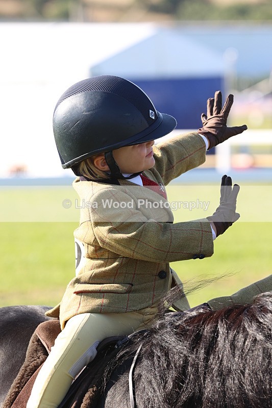 JPP_0729 - Class 16: Cornish Combination Leading Rein