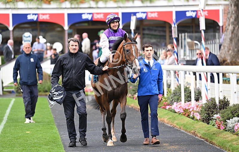 200826-174 Mia Fantasia - Race 6 16.45pm Mews Hotel Ossett EBF Stallions Nursery Handicap