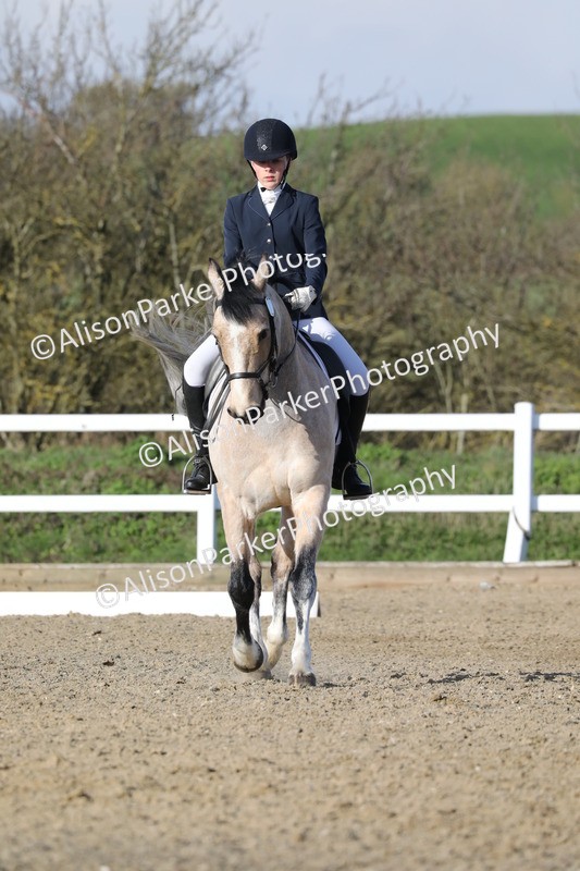 20260314-5832 - DR 7 - Elementary 1