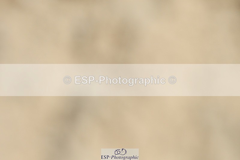 230623-133834-00810 - Cls 5 Elementary 43