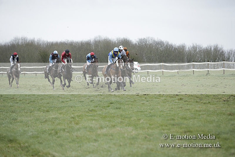 PtP 150320 0282 - New Forest Point-to-Point Larkhill 15/03/20