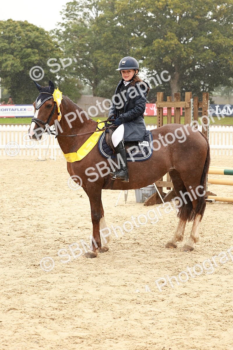 SBM_72228 - J14 - Junior Pony 65cm Championship