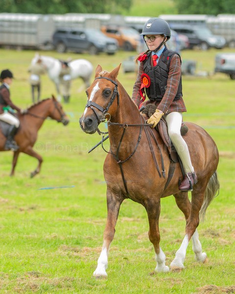 Dunblane show-126 - Dunblane and Doune Show Ring 1