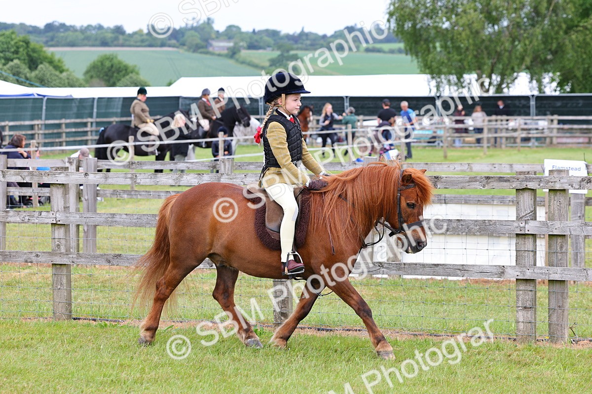 SBM_08507 - Class 42-43 - LIHS BSPS Heritage Working Sports Pony
