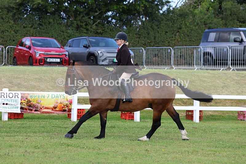 3E7A9889 - Class 5: Rising Star Lightweight/Heavyweight Cobs