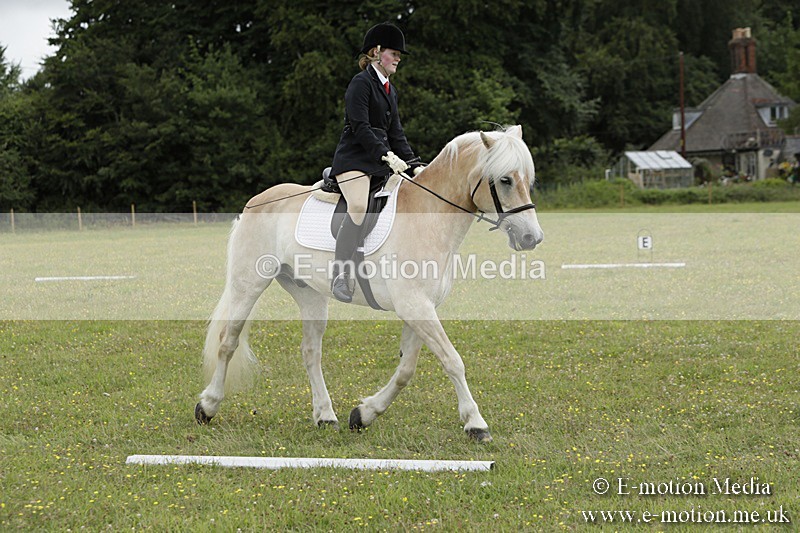 BVR160717-1210 - Class 2 Dressage 16/07/17