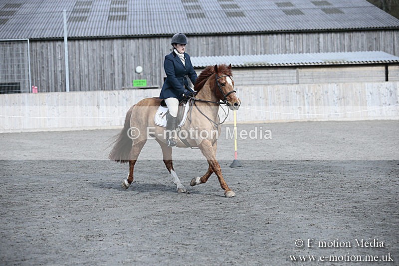 BVRC SJ 170319 205 - Bourne Valley Riding Club Showjumping 17/03/19
