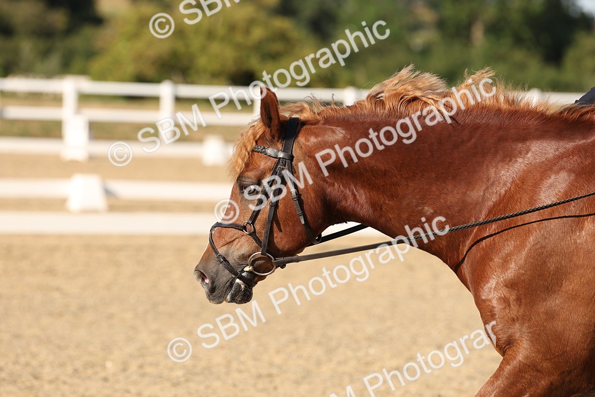 SBM_007072 - Prelim 4 - 15.56-17.51
