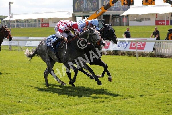 yr11062021r2-28 - Race 2 2.20pm Churchill Tyres Stakes