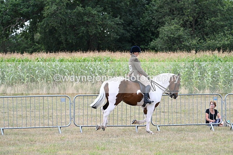 WJ7_5241 - Class 12 Ridden Cob