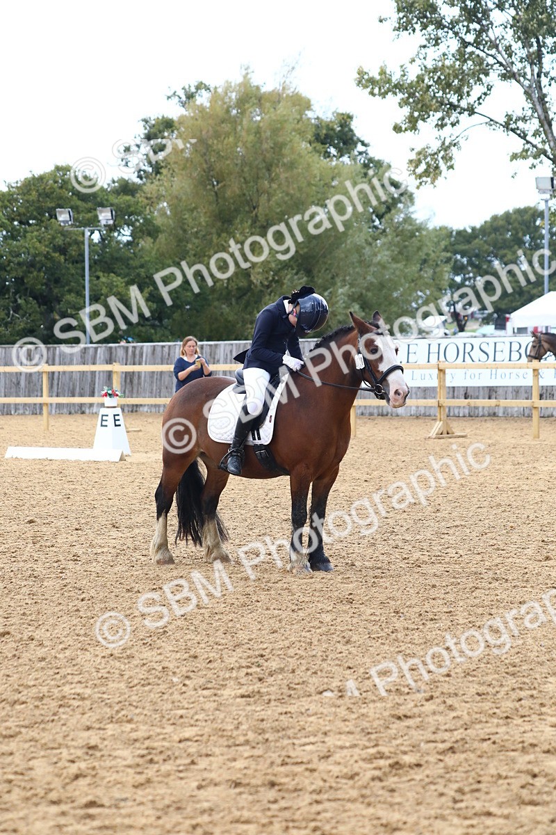SBM_39044 - D21 - Junior Championship Intro 1