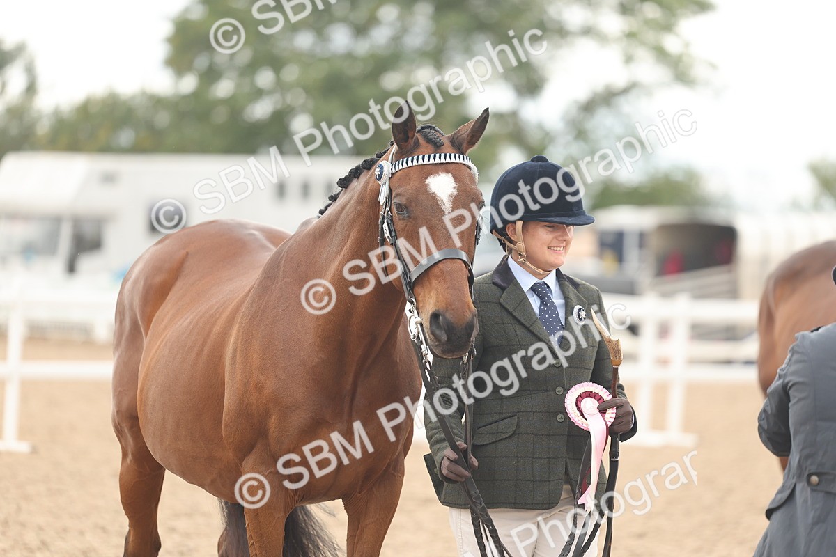 SBM_17161 - Class 313 - IH Retired Racehorse