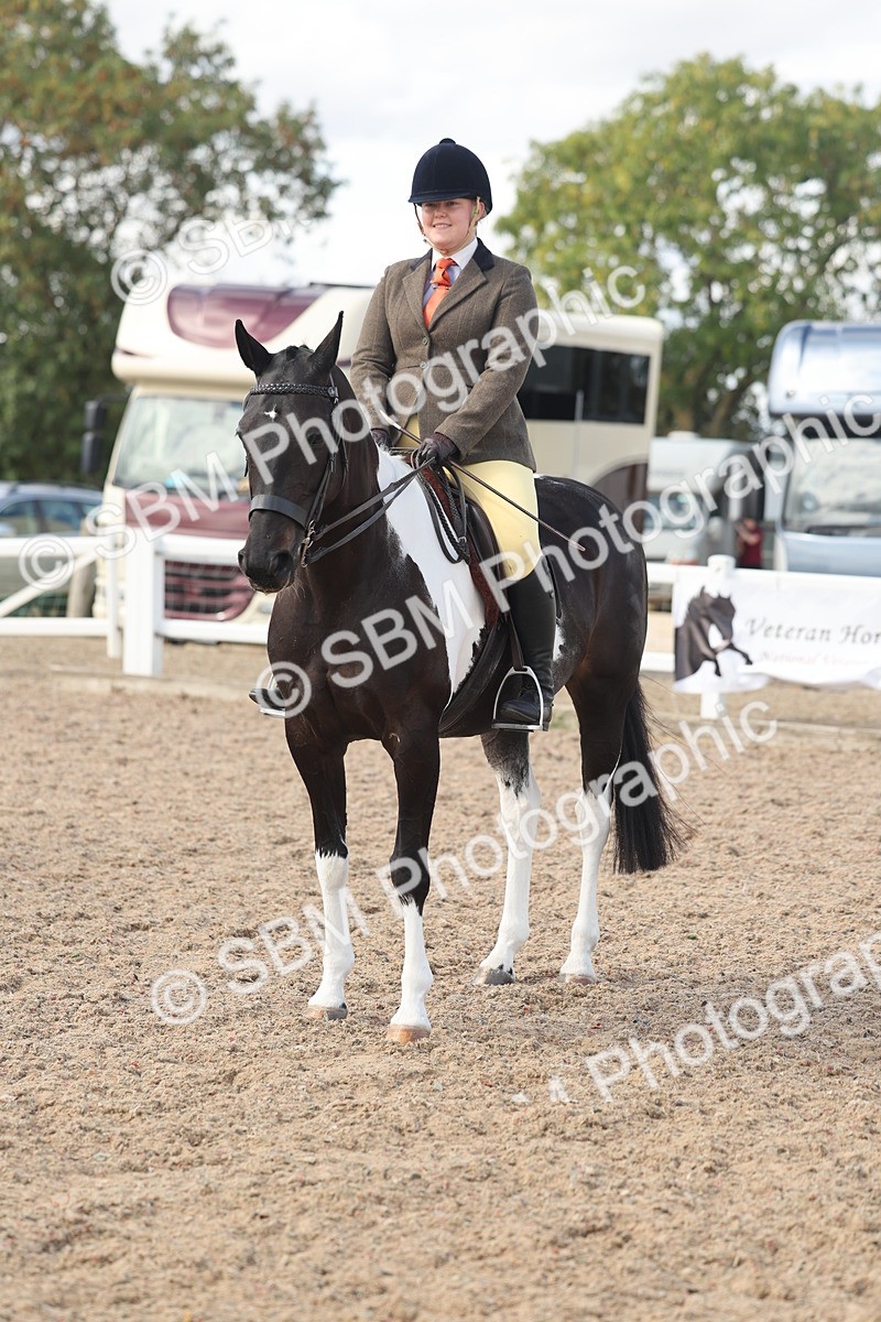 SBM_14807 - Class 308 - Ridden Coloured Horse