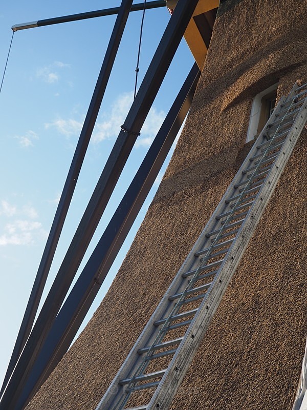 P1160069 - The Magic of Mills