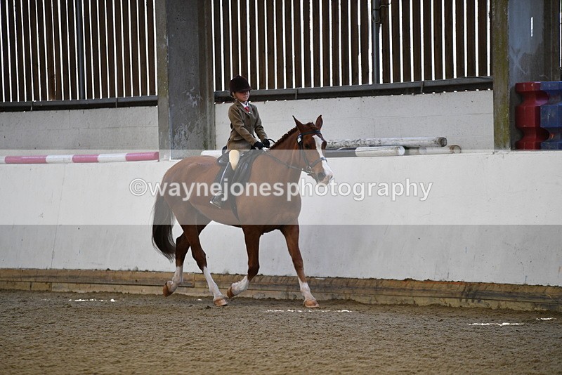 WJ5_5937 - Class 9 Ridden Veteran