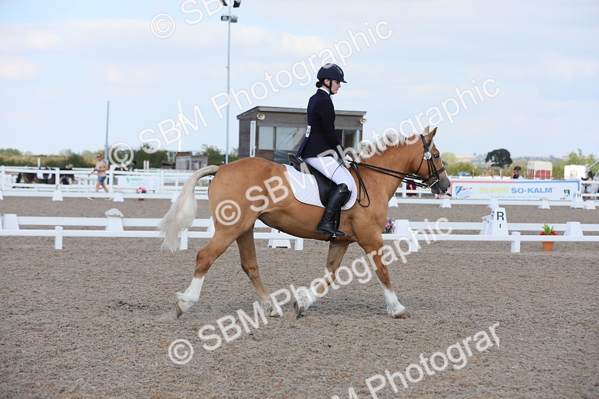 SBM_07683 - Class 33 Elementary 1