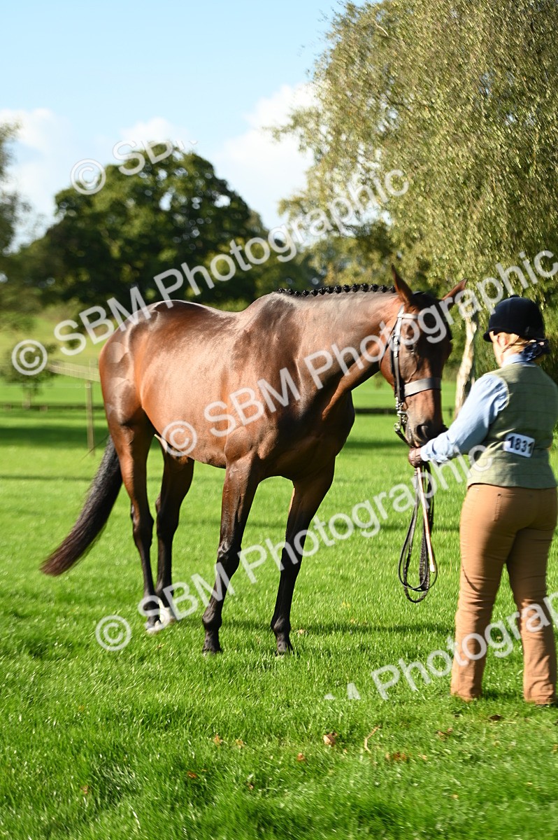 SBM_14739 - S1 - TSR in Hand Horse & Pony Showing
