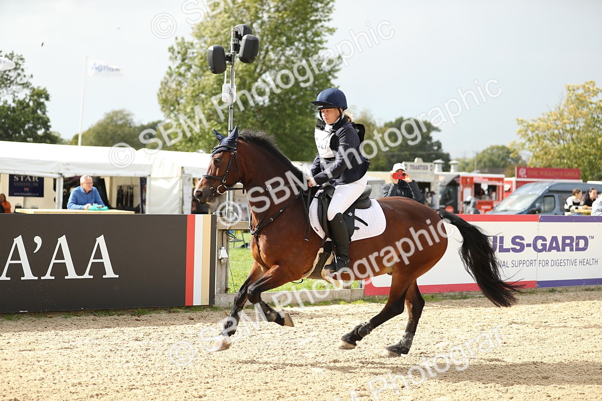 SBM_08963 - J30 - Senior Horse & Pony 70cm Championship