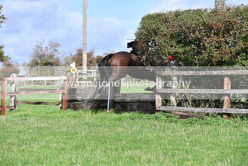 WJ5_9005 - Time 12:34 to 12:57