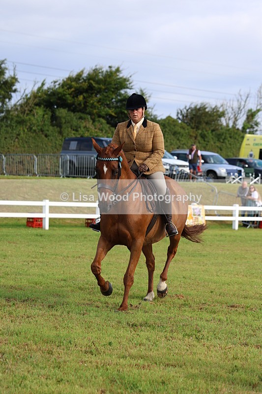 3E7A8225 - Class 2: Rising Star Large Hack/Riding Horse