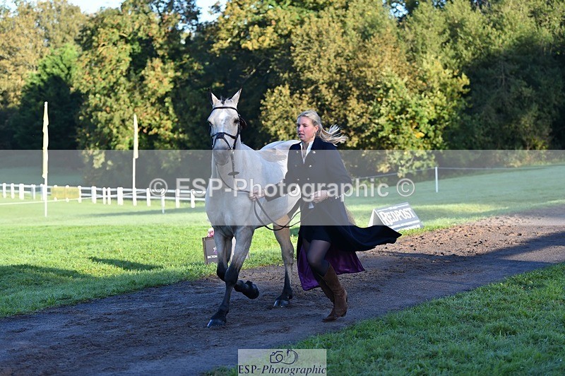 231022-090238-21525 - 619-GARVAGH.GOLDEN.OAK-Ella.Snow-TrotUp+SJ