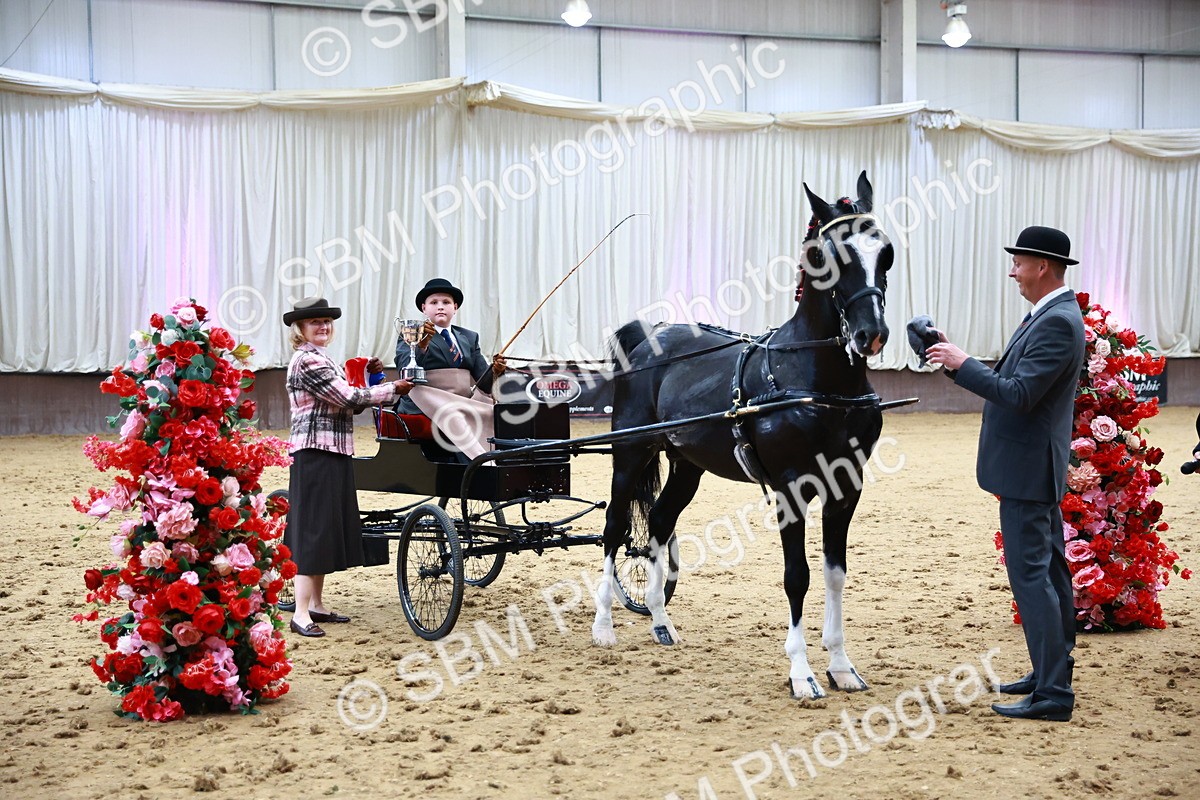 0B8A3927 - Class 13  - HHS Championship Intl Hackney Horse to a Show Wagon