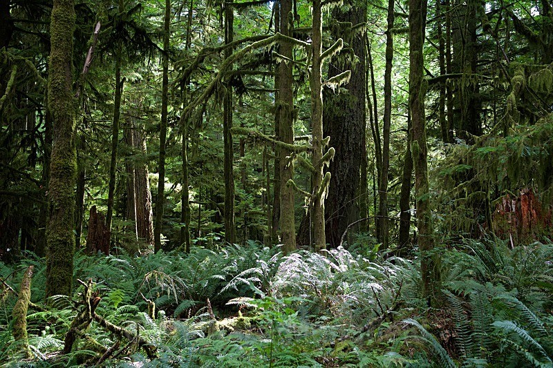  - Canada West Coast